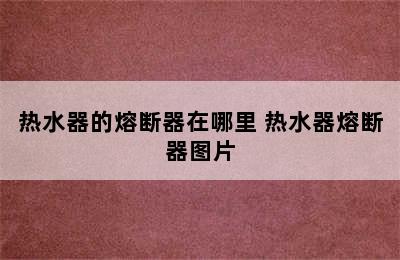 热水器的熔断器在哪里 热水器熔断器图片